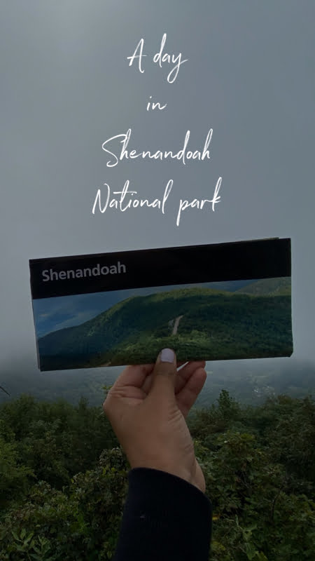 Best Things To Do In Shenandoah National Park