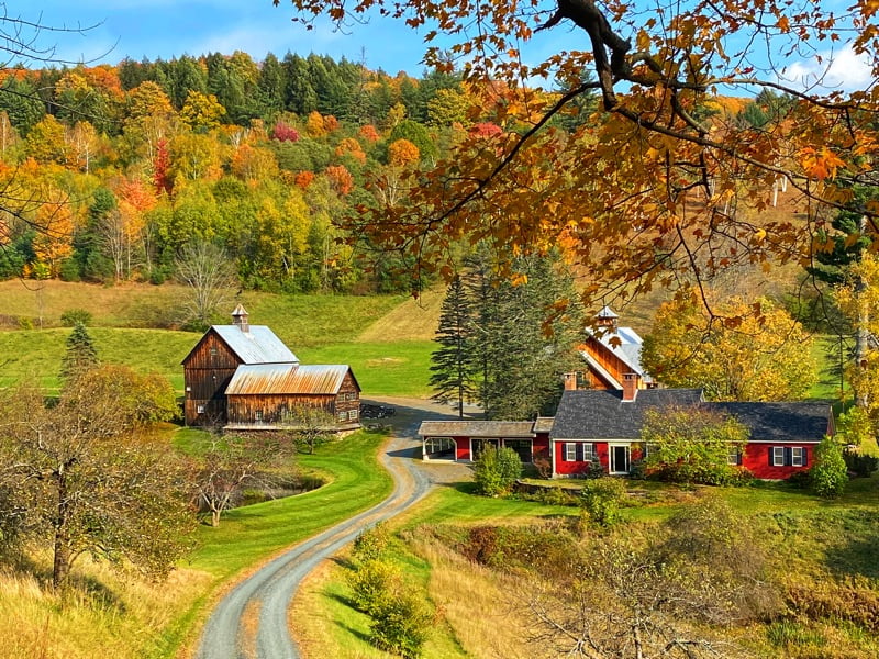Fall Foliage Road Trip to Vermont | Priyanka & Pranjal